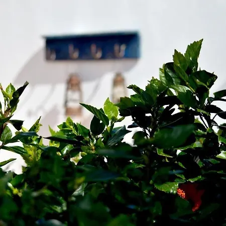 Casa Hibisco Mit Schoenem Garten Uga