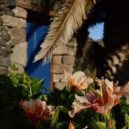 Casa Hibisco Mit Schoenem Garten 아파트