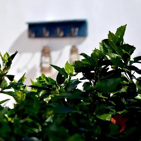 Casa Hibisco Mit Schoenem Garten Uga
