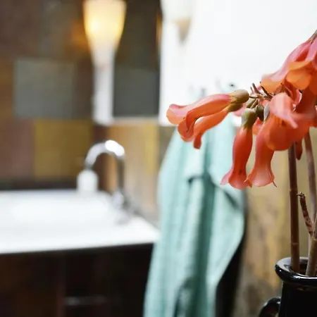 Casa Hibisco Mit Schoenem Garten Διαμέρισμα *